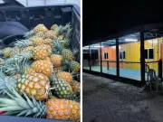 Bekas penjawat awam raih lebih RM7,000 sebulan dari ladang buah Mersing