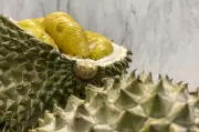 Belajar Bahasa Melayu: Durian, Pantai, dan Diplomasi China-Malaysia