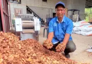 Bersara tapi Berjaya: Tempurung Kelapa Jadi Emas, Hasil Lumayan