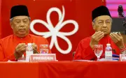 Bersatu hilang tarikan selepas perpecahan Muhyiddin-Mahathir, kata Puad