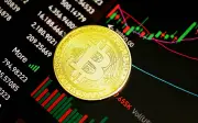 Bitcoin jatuh ke paras terendah dua minggu, likuidasi kripto melebihi AS$800 juta