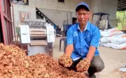 Daripada sisa kepada emas kebun: Usaha sabut kelapa Wan Zamri