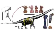 Dinosaur terbesar Asia Tenggara ditemui di Thailand