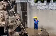 Dua warga AS ditahan di Jepun kerana masuk kandang monyet viral