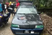 Empat lelaki ditahan kes curi buah kelapa sawit di Kanchong Darat