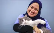 Fluffy si Penyelamat: Kucing Terbiar Kini Derma Darah, Selamatkan Nyawa