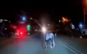 Gelandangan Berkerusi Roda Cedera Dilanggar Kereta di Sungai Petani