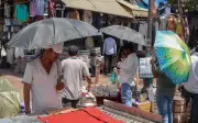 Gelombang haba di India ragut 16 nyawa akibat strok haba