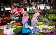 Harga sayur naik, konflik Asia Barat jejas kos input pertanian