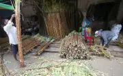 India haramkan eksport gula sehingga September jamin bekalan domestik