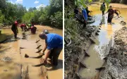 Jabatan Warisan Kaji Struktur Perahu Lama di Kelantan