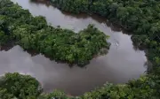 Jenayah terancam ancam hutan Amazon, serang kawasan perlindungan