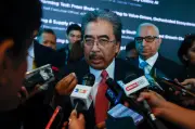 Jho Low jangan diberi pengampunan, kata pengerusi pasukan petugas 1MDB