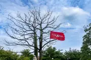 Johor PH: Rang Undang-Undang ADUN Tidak Dipilih Digesa Ditarik Semula