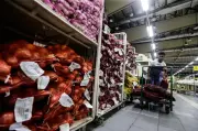 Kawalan Harga Musim Kaamatan-Gawai 2026: 12 Barang Ditetapkan di Sabah dan Sarawak
