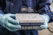 Ketakutan Hantavirus di Kapal Pesiar Ingatkan Wabak 'Super-Spreader' Argentina