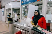 Kucing Stesen Rapid KL: Kenit, Adik, Lembu, Cantik Jadi 'Maneki-Neko' Tempatan