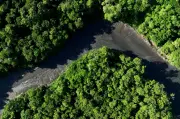 Kumpulan Jenayah Terancam Hutan Amazon