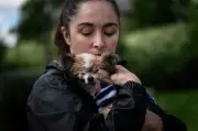 Lazare, anjing tertua dunia, mati pada usia 30 tahun