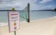 Lelaki cedera kritikal akibat serangan jerung di Australia