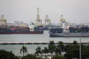Malaysia ketatkan kawalan import ikan siakap dan udang dari Thailand mulai 1 Jun