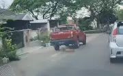MBJB ambil tindakan tegas terhadap pekerja yang langgar anjing di Puteri Wangsa