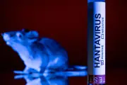 Misi saintifik cari tikus pembawa hantavirus di Tierra del Fuego Argentina