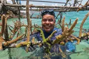 Nelayan jadi penyelamat terumbu karang di Colombia