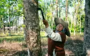 Nenek 71 tahun masih bekerja dari subuh hingga malam