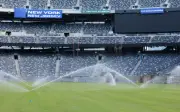 Padang rumput Piala Dunia dipasang di stadium AS