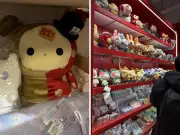 Pasca-kanser: Tiada siapa beritahu Taipei syurga comel dan lembut