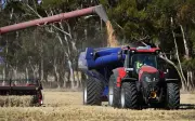 Petani Australia Terjejas Akibat Kos Perang Iran dan Cuaca Kering