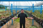 Petani Muda Negeri Sembilan Kembangkan Ladang Bawang Merah Kurangkan Import
