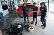 Polis Perak tahan tujuh lelaki kes ragut maut, curi kabel di Teluk Intan
