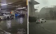 Polis Tangkap Lelaki Langgar Kereta, Buat Onar di Damansara Perdana