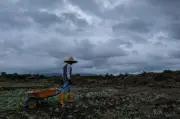Ribut diramal hingga 10 pagi: MetMalaysia keluarkan amaran hujan lebat, angin kencang