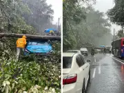 Ribut Malaysia Landa Lembah Klang: Banjir Kilat, Pokok Tumbang, Trafik Sesak