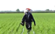 RM200 pendahuluan IPKP ringankan beban pesawah, lancarkan musim tanam