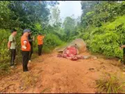 Sabah siasat pembunuhan gajah Borneo, dikaitkan dengan pemburuan gading