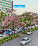 Sembilan pakej Lebuhraya Pan Borneo Sabah dibuka tahun ini
