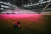 Stadium Dallas Bersinar Merah Jambu Demi Padang Rumput Sempurna Piala Dunia 2026