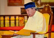 Sultan Selangor titah 'full stop' penternakan babi di negeri ini
