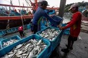 Tangkapan Ikan di Teluk Kumbar dan Batu Maung Kekal Stabil Walaupun Tebus Guna Silicon Island