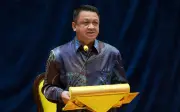 Tapak bakau KomaLaut wajar diwarta hutan simpanan kekal, titah Raja Muda Perlis