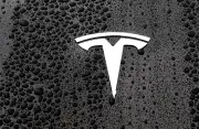 Tesla tarik balik 219,000 kenderaan di AS atas kecacatan kamera belakang