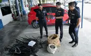 Tujuh terbabit rompakan dan curi kabel ditahan di Teluk Intan