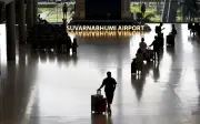 Warga Malaysia ditahan di lapangan terbang Bangkok seludup 250 haiwan liar ke India