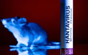 WHO kekal penilaian hantavirus sebagai 'risiko rendah'