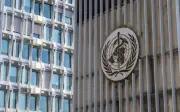 WHO: Risiko wabak hantavirus kepada awam ‘sangat rendah’
