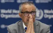 WHO sahkan lima kes hantavirus di kapal persiaran, tiga lagi disyaki
